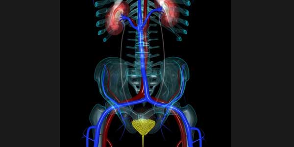 Types of Urinary Incontinence